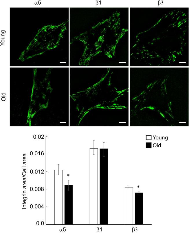 https://cdn.ncbi.nlm.nih.gov/pmc/blobs/2d7c/9301045/f0b87e4c2598/fphys-13-913673-g003.jpg