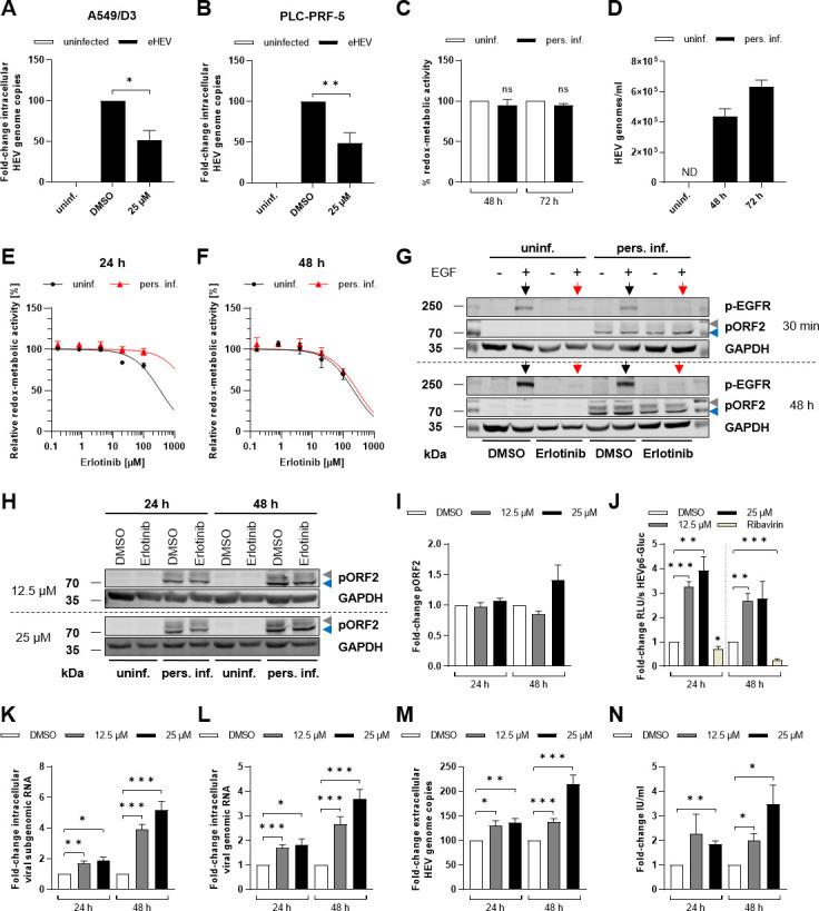 https://cdn.ncbi.nlm.nih.gov/pmc/blobs/2d81/11265270/56c0fe688014/jvi.00580-24.f010.jpg