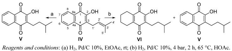 https://cdn.ncbi.nlm.nih.gov/pmc/blobs/2d82/6264310/bc64e5c364e8/molecules-16-08614-g003.jpg