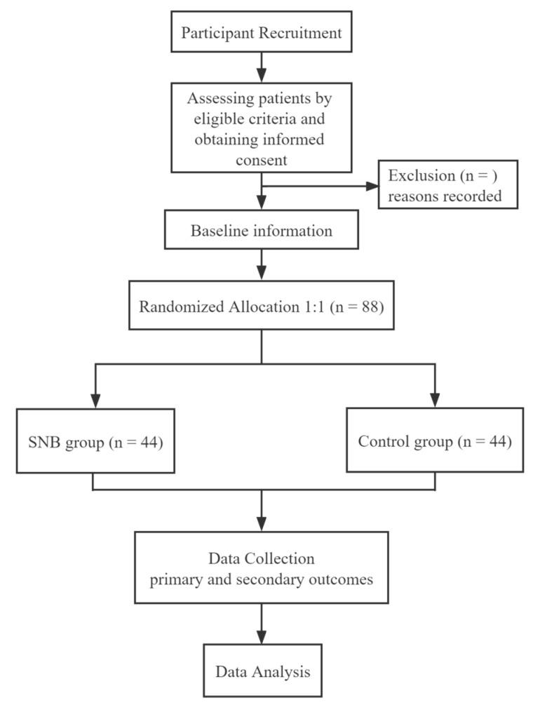 https://cdn.ncbi.nlm.nih.gov/pmc/blobs/2d83/9405761/671df6c35df4/brainsci-12-01007-g001.jpg