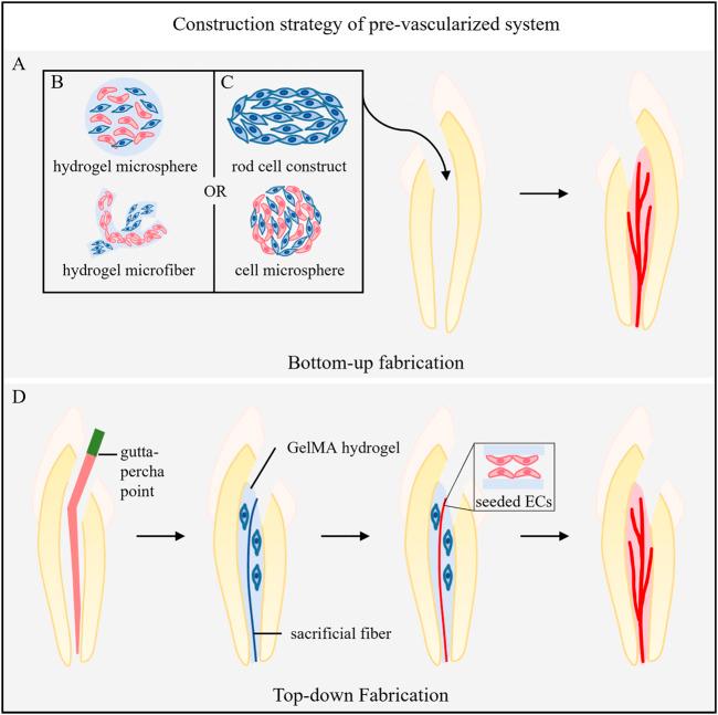 https://cdn.ncbi.nlm.nih.gov/pmc/blobs/2d86/10232868/d4a0a8ec4280/fbioe-11-1186030-g002.jpg