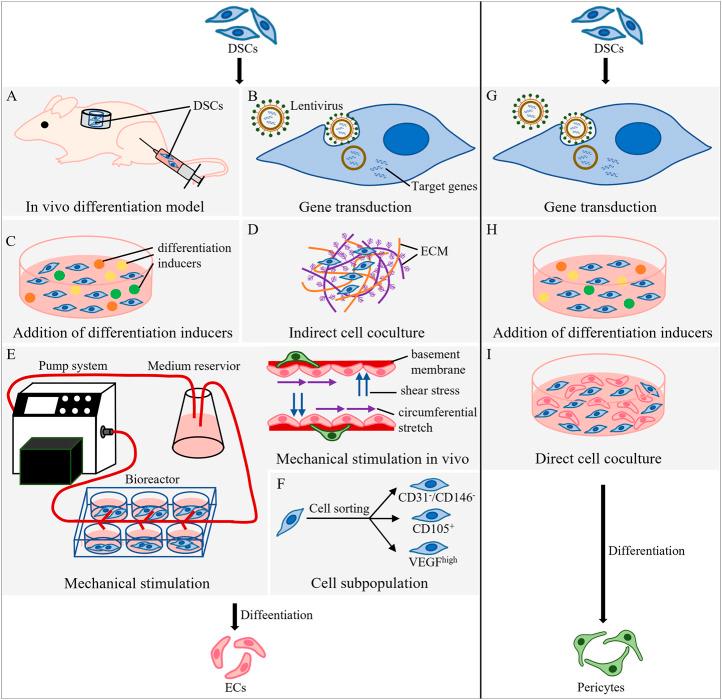 https://cdn.ncbi.nlm.nih.gov/pmc/blobs/2d86/10232868/fe42a6af8712/fbioe-11-1186030-g001.jpg