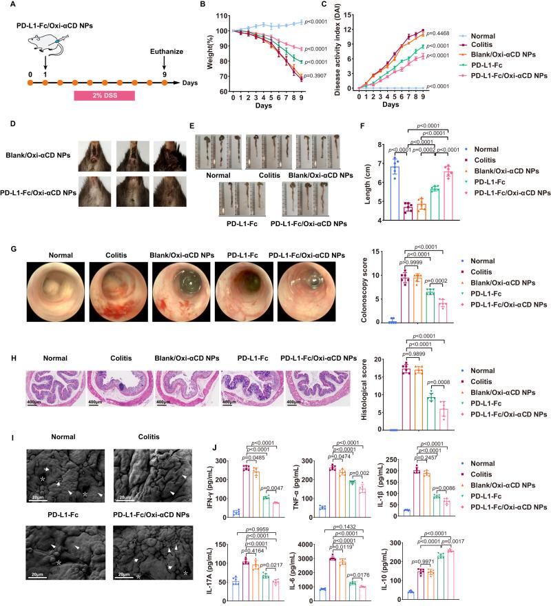https://cdn.ncbi.nlm.nih.gov/pmc/blobs/2d86/10891058/08adc4bb3910/41467_2024_46025_Fig3_HTML.jpg