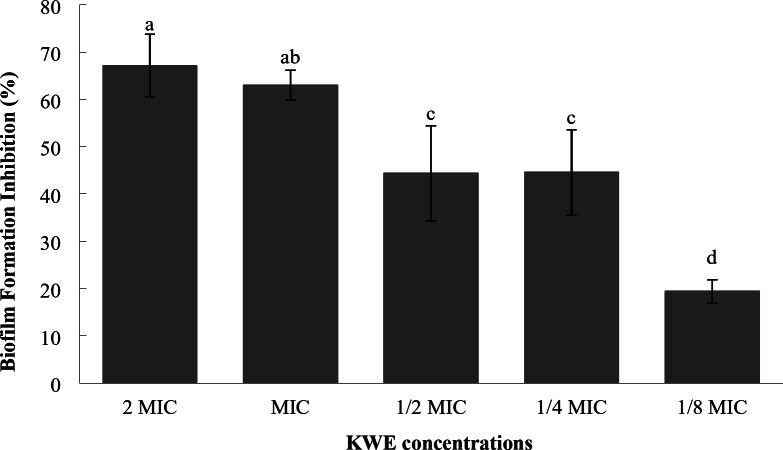 https://cdn.ncbi.nlm.nih.gov/pmc/blobs/2d87/12006376/d5080f3880c5/41598_2025_96013_Fig1_HTML.jpg