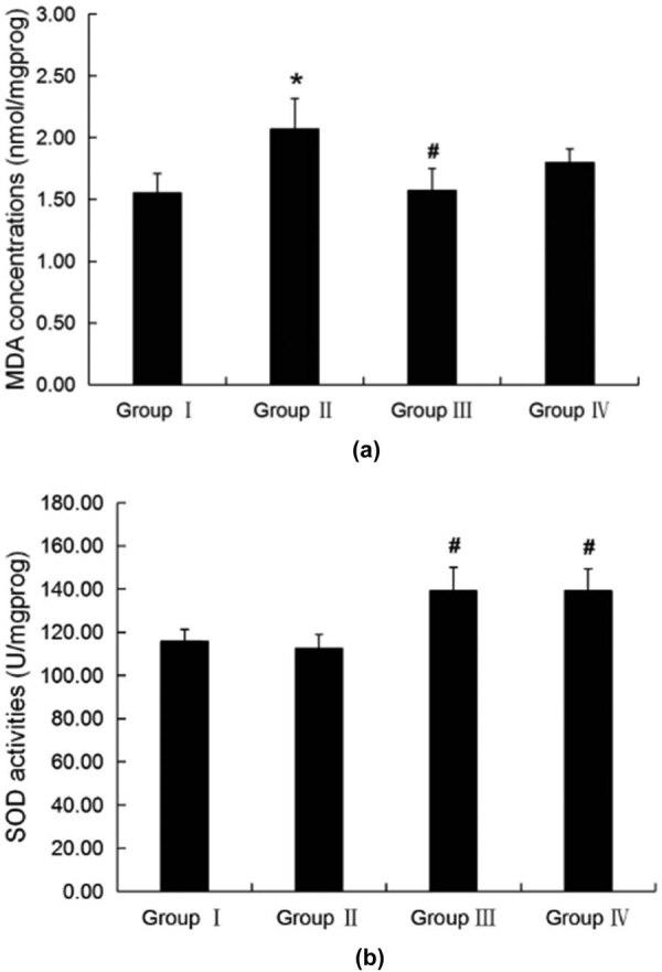 https://cdn.ncbi.nlm.nih.gov/pmc/blobs/2d87/7711974/d123223a46f9/j_tnsci-2020-0055-fig003.jpg