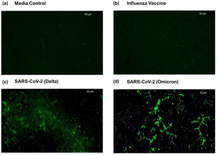 https://cdn.ncbi.nlm.nih.gov/pmc/blobs/2d88/10534802/9a74a6a825bb/sensors-23-08000-g002.jpg