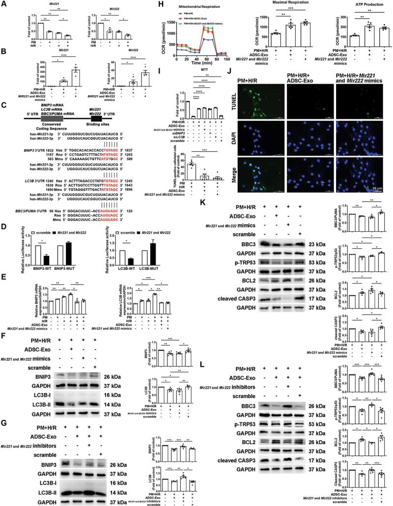 https://cdn.ncbi.nlm.nih.gov/pmc/blobs/2d8c/11760231/1847b566a5d4/KAUP_A_2395799_F0004_C.jpg
