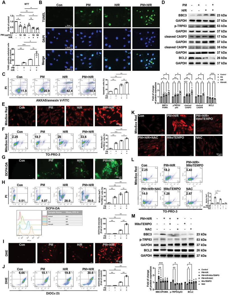https://cdn.ncbi.nlm.nih.gov/pmc/blobs/2d8c/11760231/499b3ba928c1/KAUP_A_2395799_F0002_C.jpg