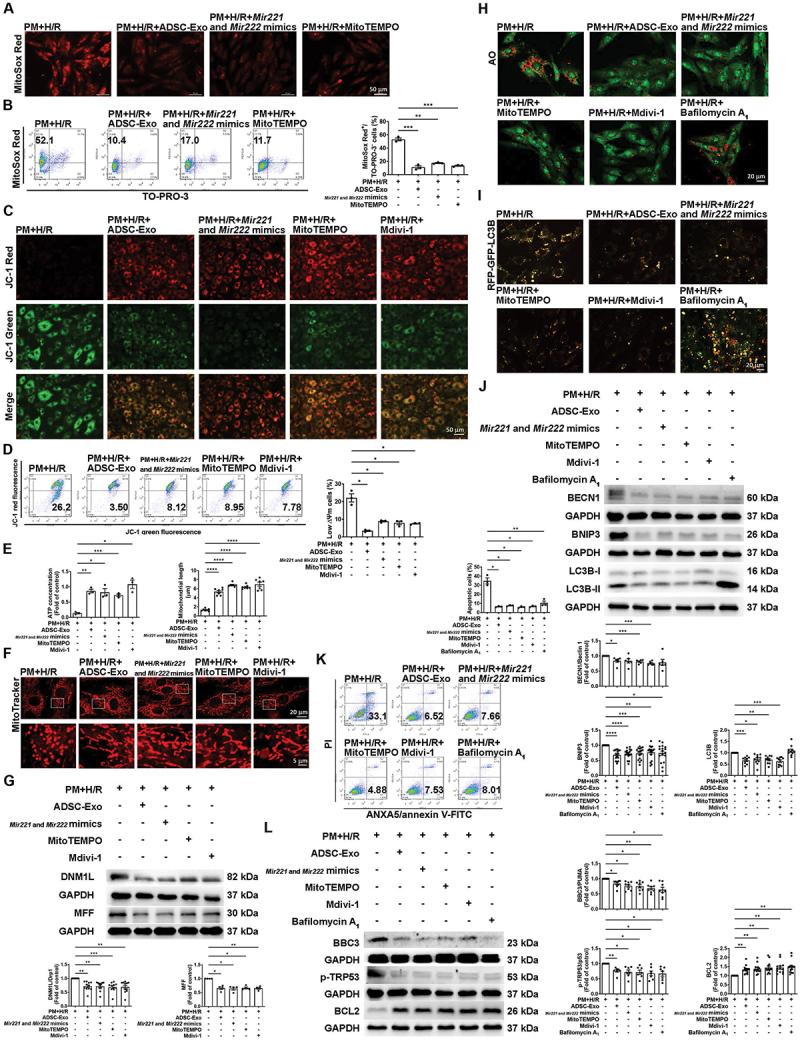 https://cdn.ncbi.nlm.nih.gov/pmc/blobs/2d8c/11760231/a47ca94b0690/KAUP_A_2395799_F0006_C.jpg