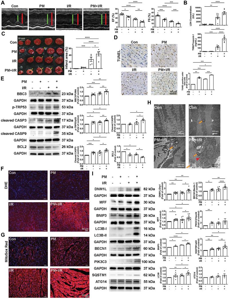 https://cdn.ncbi.nlm.nih.gov/pmc/blobs/2d8c/11760231/ffce5101d185/KAUP_A_2395799_F0001_C.jpg
