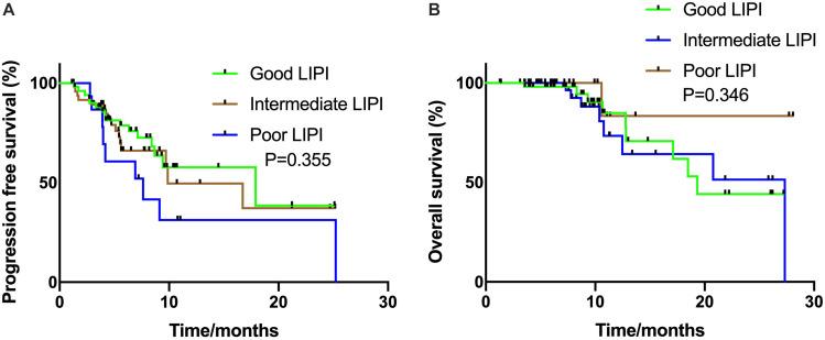 https://cdn.ncbi.nlm.nih.gov/pmc/blobs/2d8e/7583465/490866a78c19/fonc-10-572853-g002.jpg