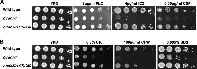 https://cdn.ncbi.nlm.nih.gov/pmc/blobs/2d8f/10100066/75b4de7a3388/12866_2023_2810_Fig2_HTML.jpg
