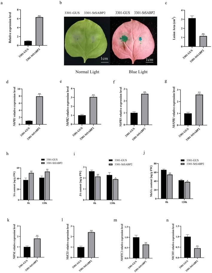 https://cdn.ncbi.nlm.nih.gov/pmc/blobs/2d8f/12040442/041487e4b188/MPP-26-e70081-g005.jpg