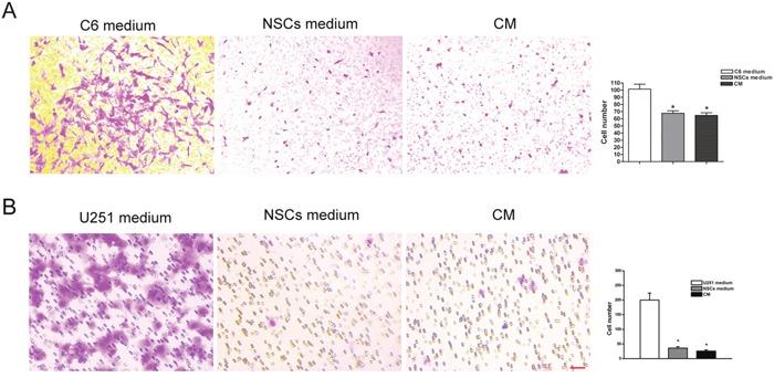 https://cdn.ncbi.nlm.nih.gov/pmc/blobs/2d8f/5652754/008d2936dac0/oncotarget-08-76949-g007.jpg