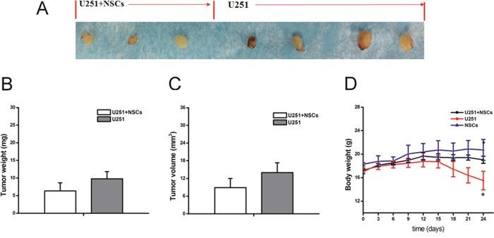 https://cdn.ncbi.nlm.nih.gov/pmc/blobs/2d8f/5652754/5fb5590fba23/oncotarget-08-76949-g009.jpg