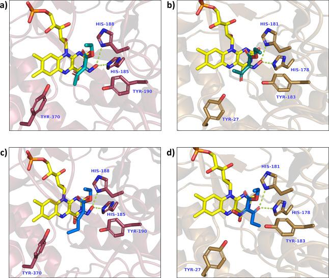 https://cdn.ncbi.nlm.nih.gov/pmc/blobs/2d90/9942197/dd21c32184ab/cs2c06137_0002.jpg