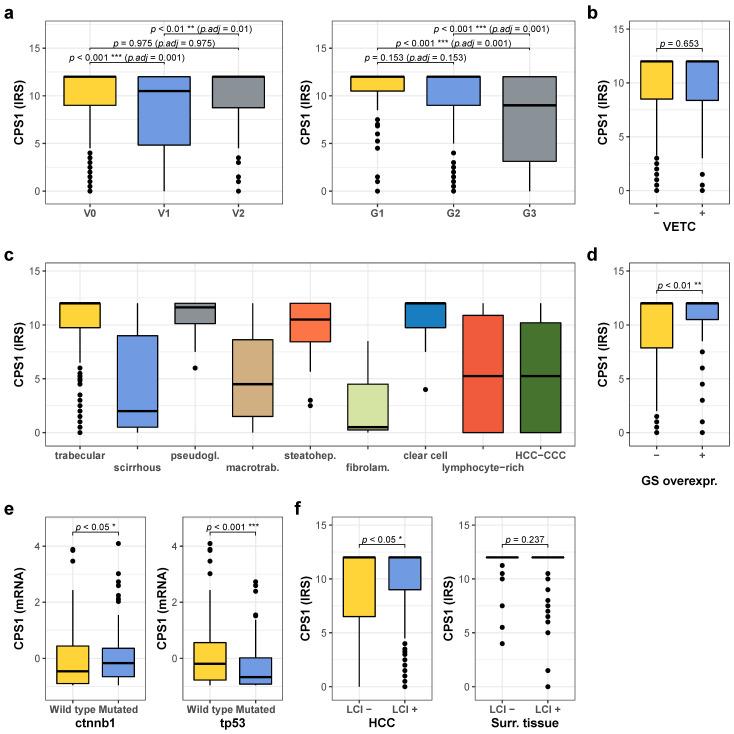 https://cdn.ncbi.nlm.nih.gov/pmc/blobs/2d91/7916936/a0a89a38a789/cancers-13-00744-g004.jpg