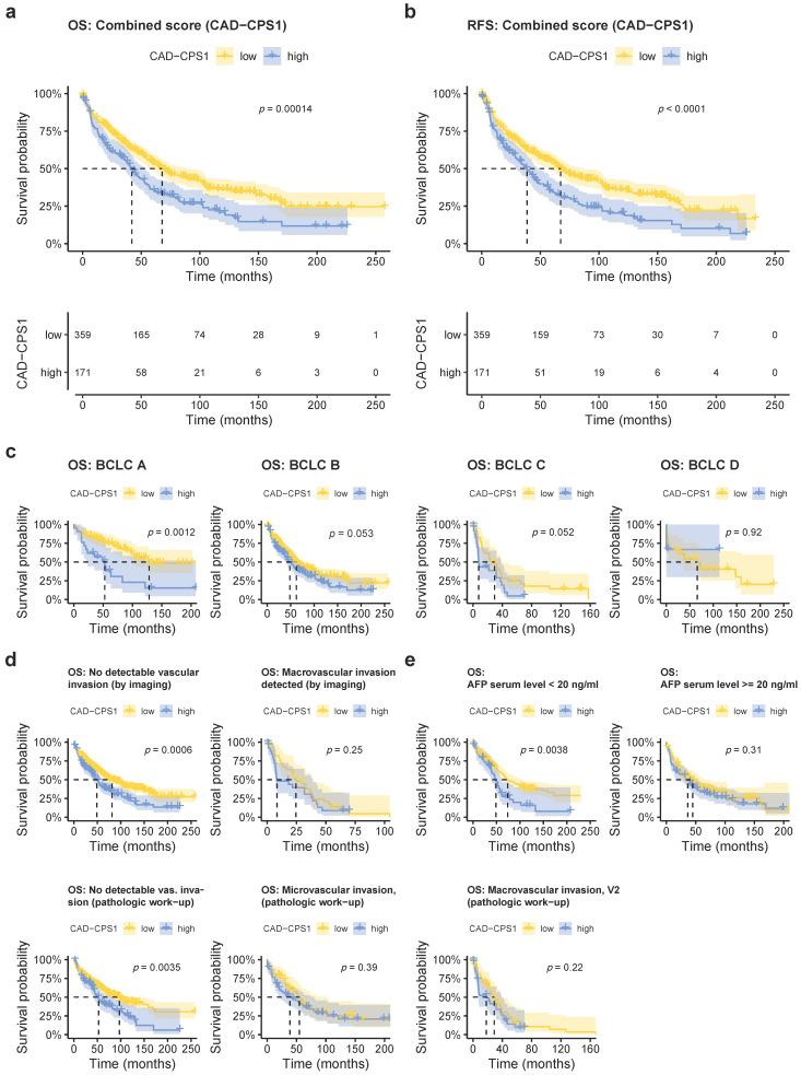 https://cdn.ncbi.nlm.nih.gov/pmc/blobs/2d91/7916936/e4fcc4b7c4f7/cancers-13-00744-g005.jpg
