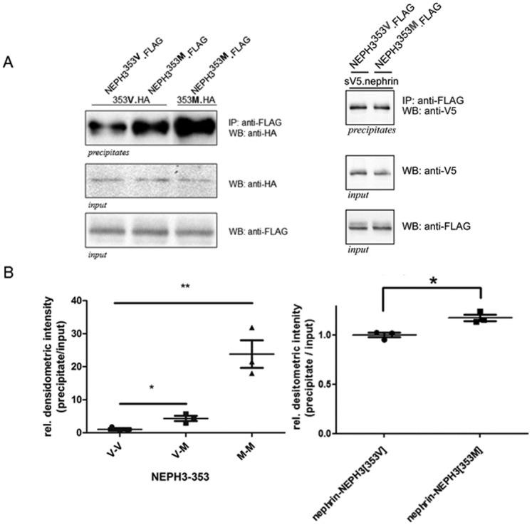 https://cdn.ncbi.nlm.nih.gov/pmc/blobs/2d95/5363870/d4e7b5f6b030/pone.0174274.g003.jpg