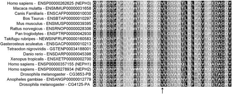 https://cdn.ncbi.nlm.nih.gov/pmc/blobs/2d95/5363870/fdf561a94745/pone.0174274.g002.jpg