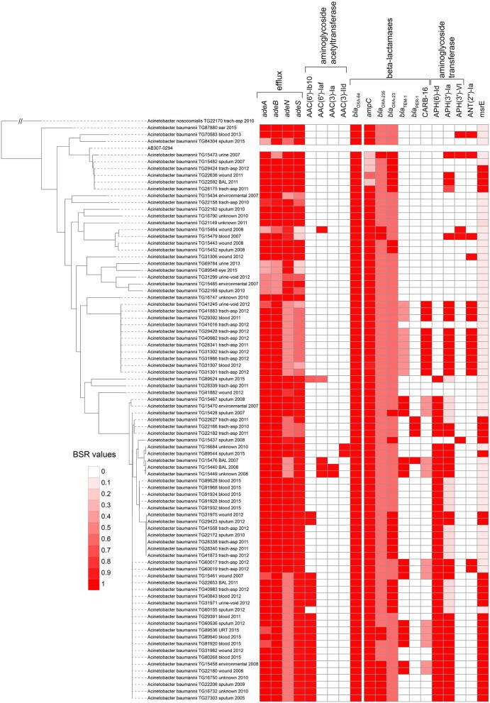 https://cdn.ncbi.nlm.nih.gov/pmc/blobs/2d95/7493718/17a317ff0abf/fpubh-08-00451-g0002.jpg