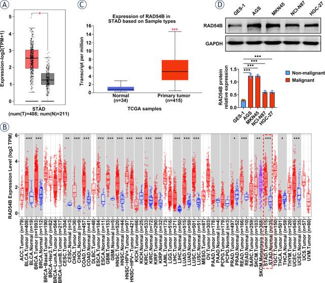 https://cdn.ncbi.nlm.nih.gov/pmc/blobs/2d96/10878776/53e307c02736/j_raon-2024-0007_fig_001.jpg