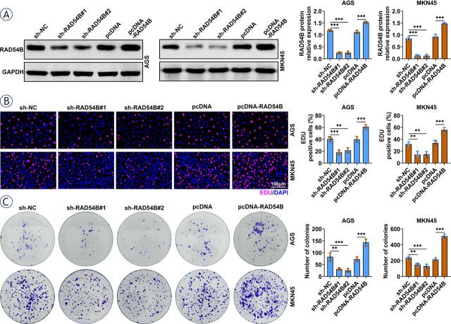 https://cdn.ncbi.nlm.nih.gov/pmc/blobs/2d96/10878776/e1e7fc7953ba/j_raon-2024-0007_fig_002.jpg