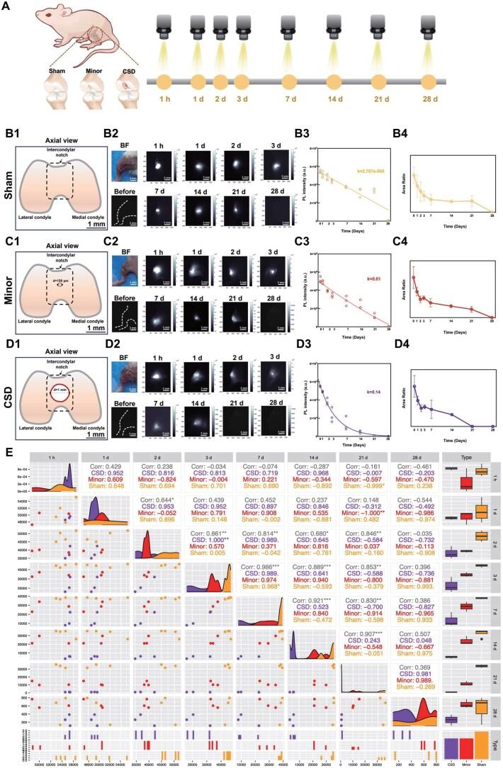 https://cdn.ncbi.nlm.nih.gov/pmc/blobs/2d97/12094926/3cddab0f1111/rbaf025f4.jpg