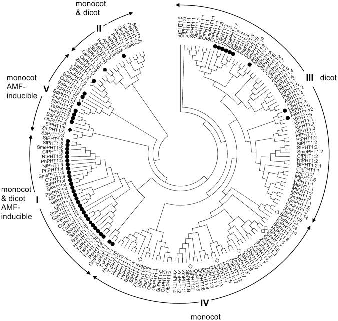 https://cdn.ncbi.nlm.nih.gov/pmc/blobs/2d97/4177549/ac197b3d82b0/pone.0108459.g003.jpg