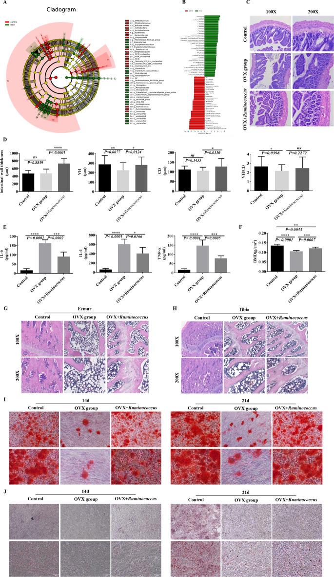 https://cdn.ncbi.nlm.nih.gov/pmc/blobs/2d99/11921539/4bcde9c9262b/13287_2025_4256_Fig5_HTML.jpg