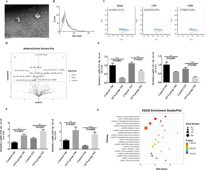 https://cdn.ncbi.nlm.nih.gov/pmc/blobs/2d99/11921539/6bab97c62259/13287_2025_4256_Fig4_HTML.jpg