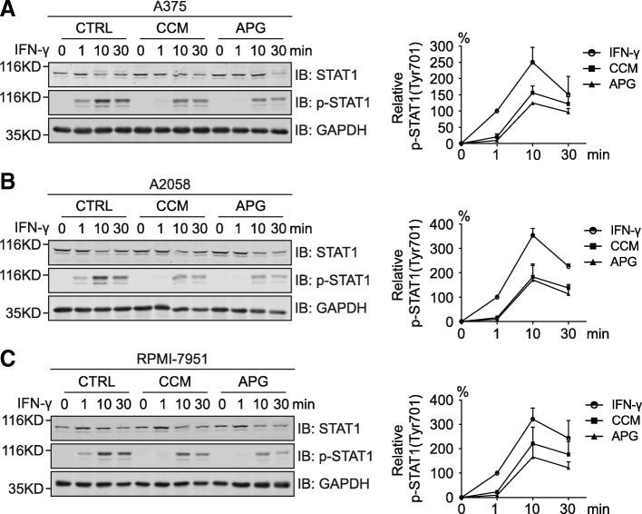 https://cdn.ncbi.nlm.nih.gov/pmc/blobs/2d9c/6206930/8d7782ad679a/13046_2018_929_Fig4_HTML.jpg
