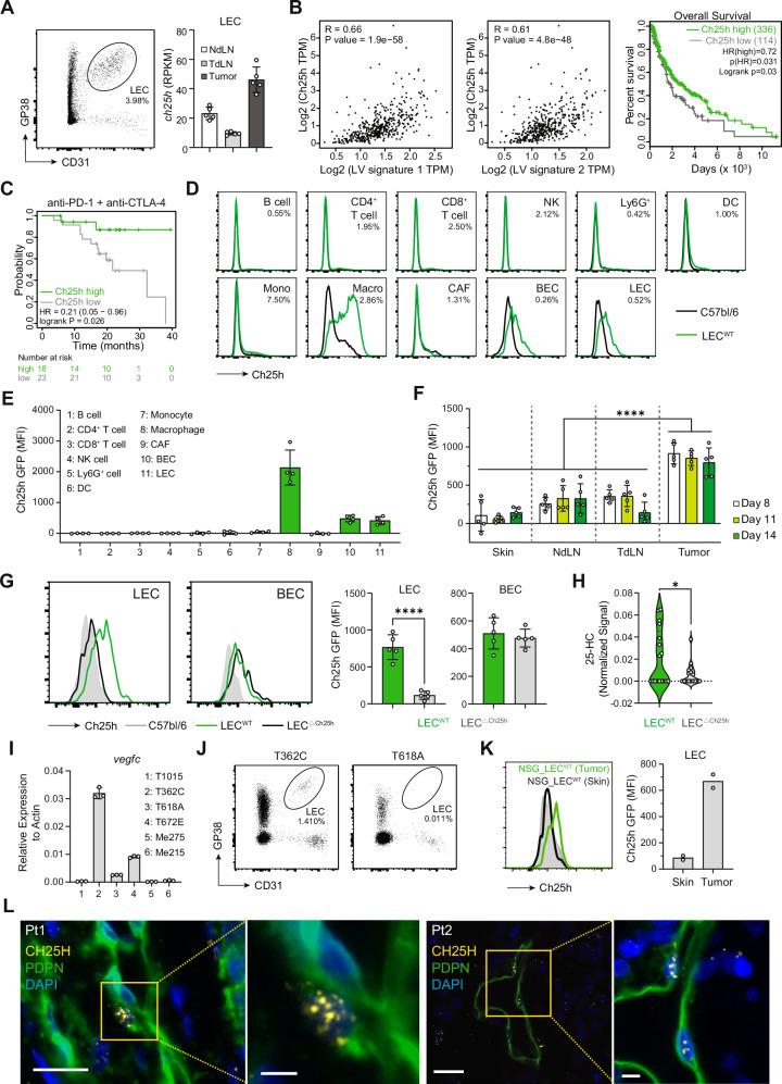 https://cdn.ncbi.nlm.nih.gov/pmc/blobs/2d9e/11893137/32773a7e9f42/41467_2025_55969_Fig1_HTML.jpg
