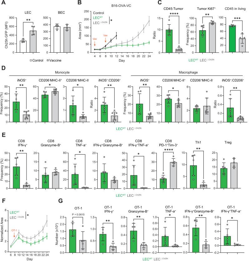 https://cdn.ncbi.nlm.nih.gov/pmc/blobs/2d9e/11893137/335c811d14fb/41467_2025_55969_Fig3_HTML.jpg