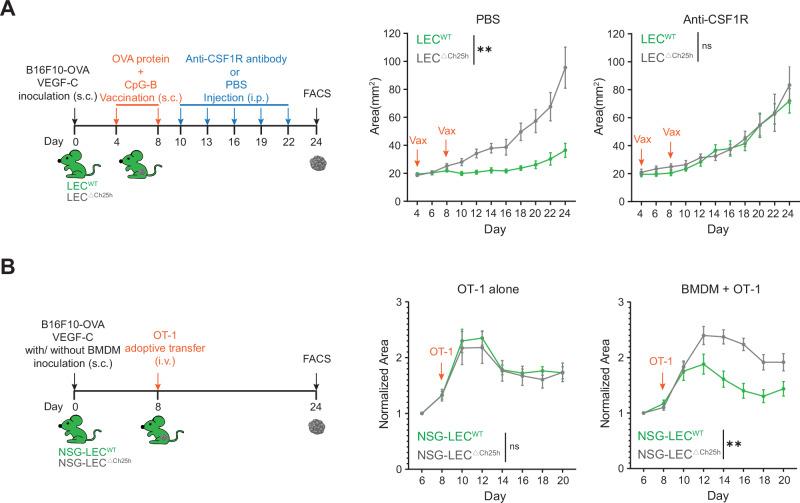 https://cdn.ncbi.nlm.nih.gov/pmc/blobs/2d9e/11893137/48f43fe397de/41467_2025_55969_Fig5_HTML.jpg
