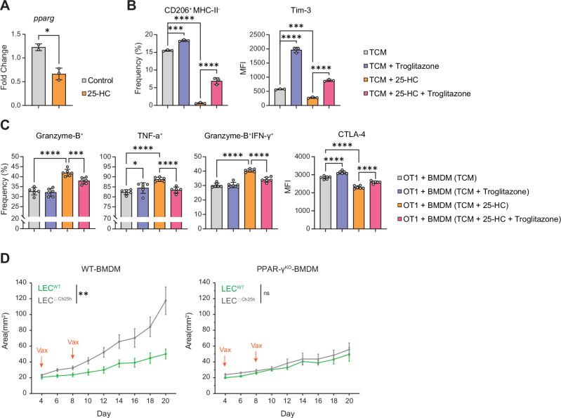 https://cdn.ncbi.nlm.nih.gov/pmc/blobs/2d9e/11893137/620846752b9a/41467_2025_55969_Fig7_HTML.jpg