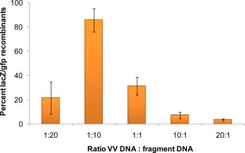 https://cdn.ncbi.nlm.nih.gov/pmc/blobs/2da0/3185694/c92c7f12ef7e/viruses-03-00217f3.jpg