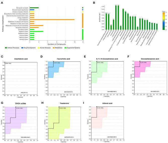 https://cdn.ncbi.nlm.nih.gov/pmc/blobs/2da0/7505924/01e2aca51456/fendo-11-00628-g0002.jpg