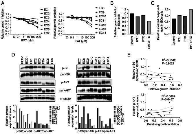 https://cdn.ncbi.nlm.nih.gov/pmc/blobs/2da1/10552741/2ec711385976/IJO-63-3-05551-g06.jpg