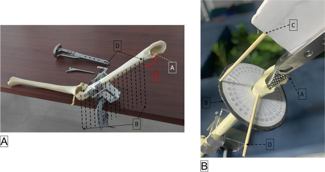 https://cdn.ncbi.nlm.nih.gov/pmc/blobs/2da2/10901922/2252e56719a1/264_2023_6038_Fig4_HTML.jpg