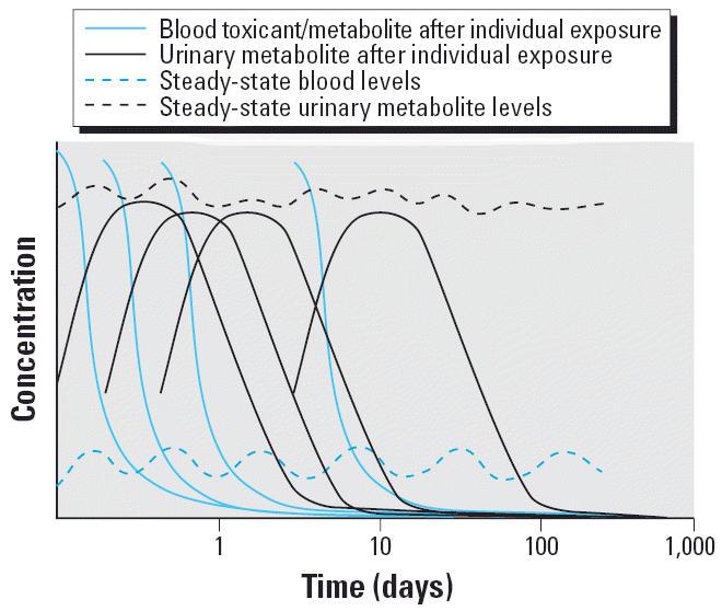 https://cdn.ncbi.nlm.nih.gov/pmc/blobs/2da2/1480485/5107f5fec917/ehp0114-000936f2.jpg