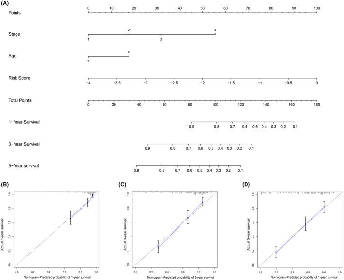 https://cdn.ncbi.nlm.nih.gov/pmc/blobs/2da2/8446556/ada15b3b6363/CAM4-10-6546-g003.jpg