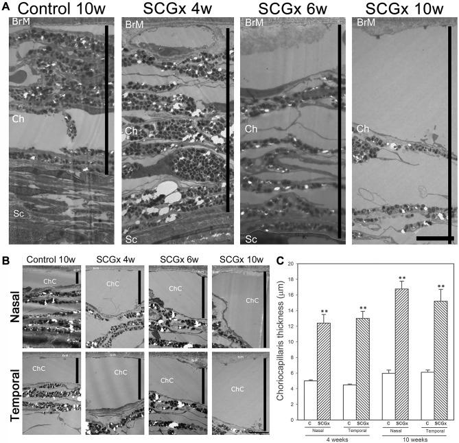 https://cdn.ncbi.nlm.nih.gov/pmc/blobs/2da4/5894943/d901c100c4fd/dmm-11-031641-g1.jpg