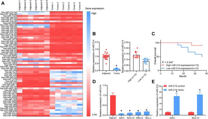 https://cdn.ncbi.nlm.nih.gov/pmc/blobs/2da4/7724270/28d433782fa7/10.1177_1533033820980098-fig1.jpg