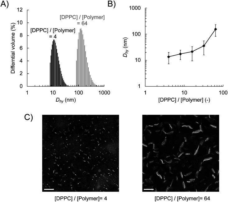 https://cdn.ncbi.nlm.nih.gov/pmc/blobs/2da5/10875731/746830776162/d3ra07481a-f1.jpg
