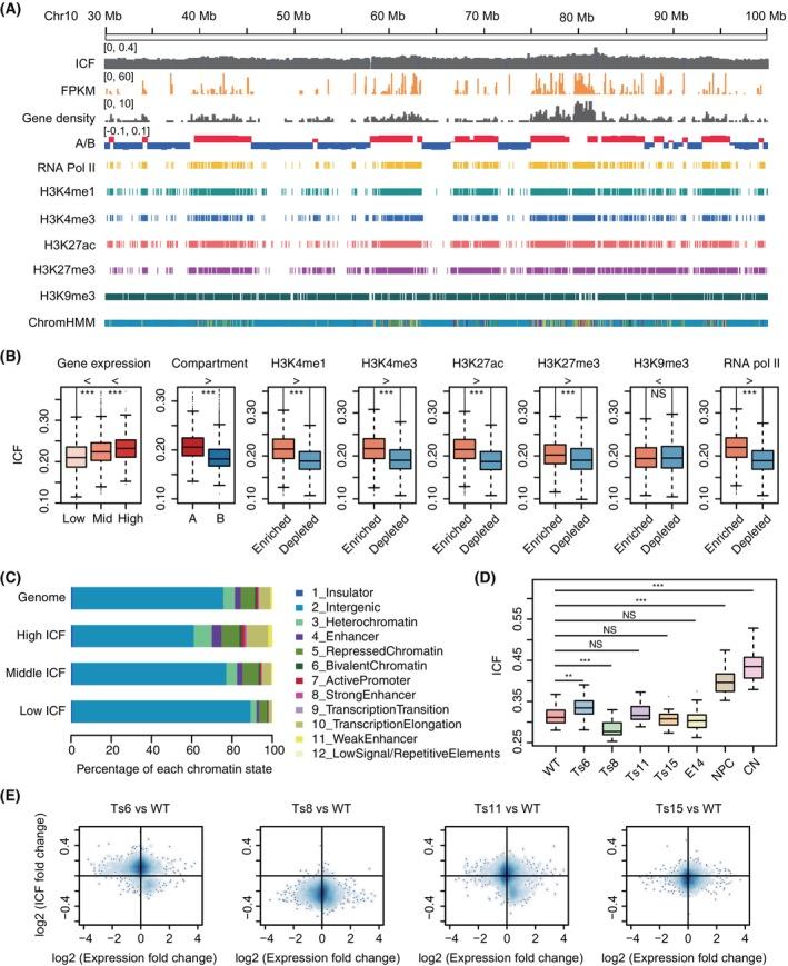 https://cdn.ncbi.nlm.nih.gov/pmc/blobs/2da5/11294443/633ff6989305/CPR-57-e13639-g003.jpg