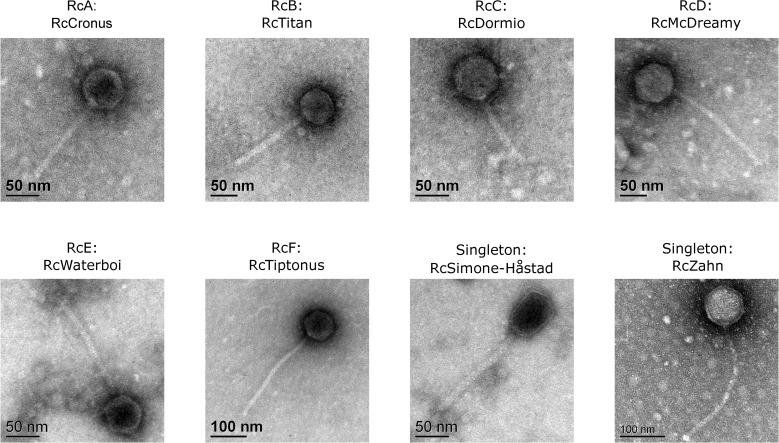 https://cdn.ncbi.nlm.nih.gov/pmc/blobs/2da5/8601537/97daef594298/pone.0255262.g001.jpg