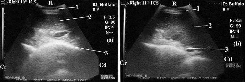 https://cdn.ncbi.nlm.nih.gov/pmc/blobs/2da8/6149247/2f34a90a64cb/gr2.jpg