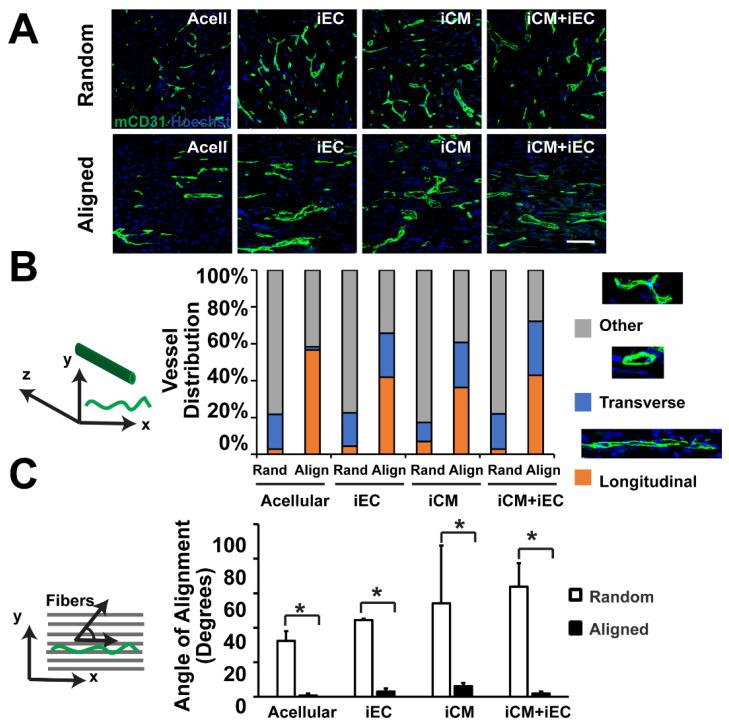 https://cdn.ncbi.nlm.nih.gov/pmc/blobs/2da8/9598830/bcb7d7a993cc/bioengineering-09-00555-g003.jpg