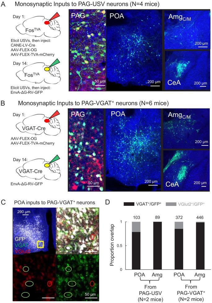 https://cdn.ncbi.nlm.nih.gov/pmc/blobs/2da9/7793624/633ed03b0fc4/elife-63493-fig1.jpg
